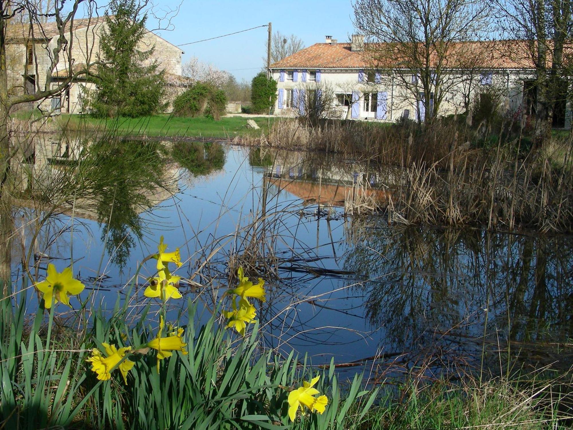 Chambres D'Hotes Entre Niort Et Marais Poitevin Bessines Luaran gambar